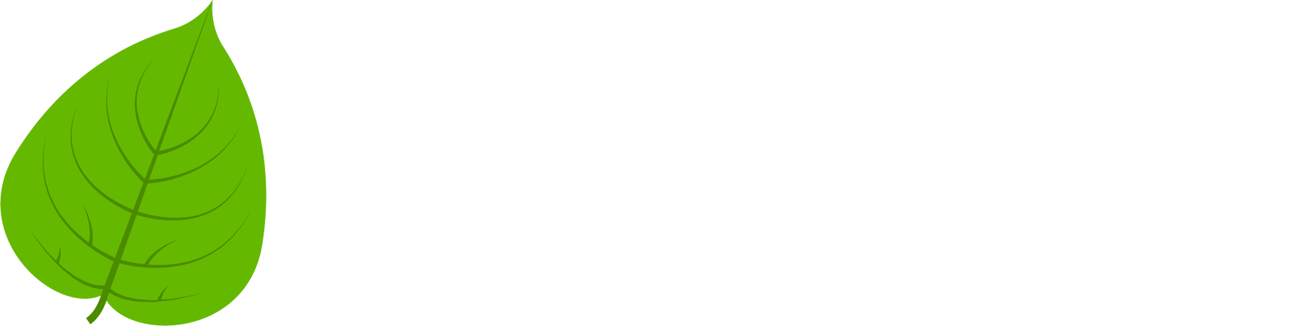 Rick Wells Insurance